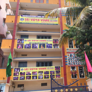 SRI NARAYANA VIDYA VIHAR HIGH SCHOOL