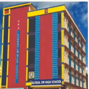 Global IIT Olympiad E.M High School
