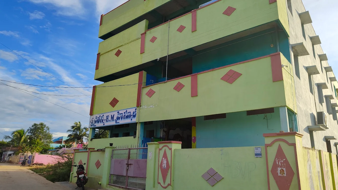Sri Chaitanya School